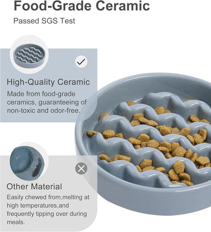 Ceramic Maze Dog Slow Feeder with Non-Slip Silicone Rim – Heavy-Duty Stoneware Bowl with Puzzle Pattern for Bloating & Obesity Prevention (Ice Blue-S)