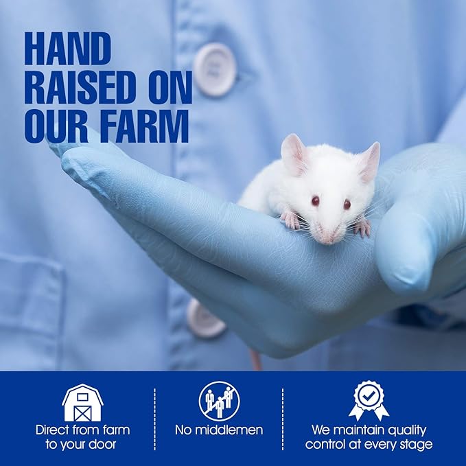 MiceDirect Frozen Rat Combo Pack of Weanling & Small Feeder Rats Weanlings & Rat Smalls Feeder Food for Snakes and Reptiles (40)