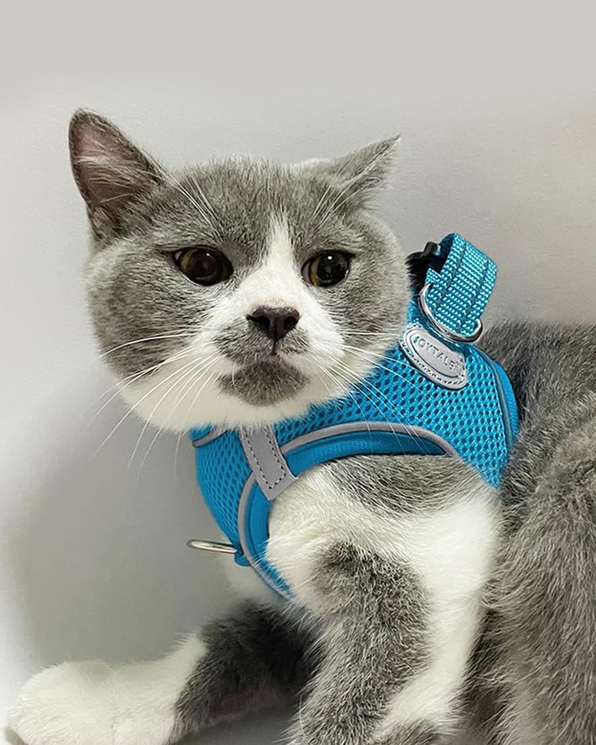 Joytale Small Dog Harness, Breathable Mesh Step-in Vest, Reflective Soft Padded Harnesses for Cats and Puppies Dogs, Sky Blue, XXXS