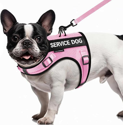 FAYOGOO Service Dog Vest for Small Dogs - Air Mesh Breathble Emotional Support Animal Vest with DIY Patches - Puppy Harness and Leash Set Adjustable Neck and Chest