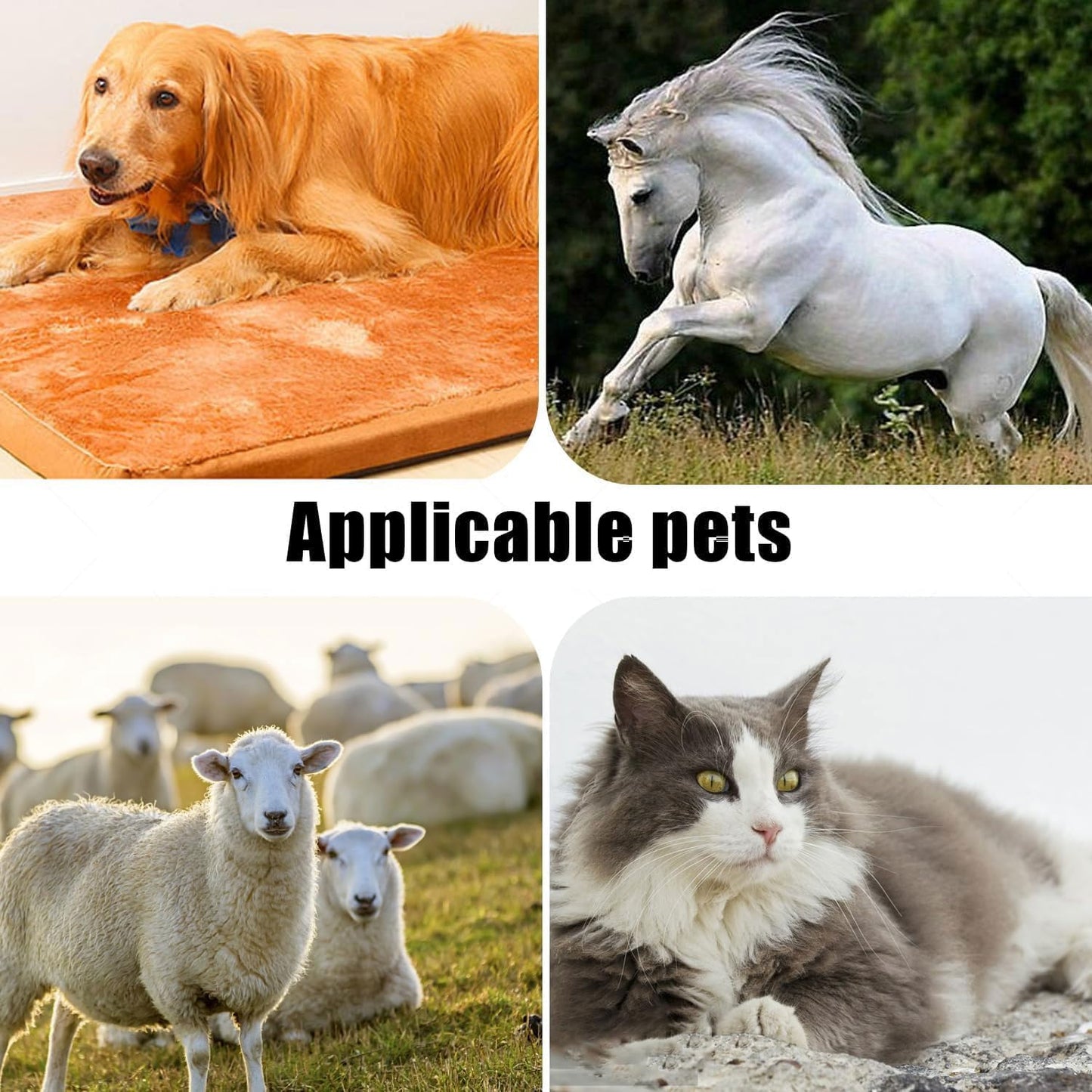 2PCS 10W Wide Blades for Dog Grooming Blades Compatible with Andis Dog Clippers Blades,Dog Clipper Blades Compatible with Oster A5,Wahl km10 Dog Clippers,Stainless-Steel Blade Sharp