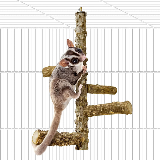 BNOSDM Sugar Glider Toy Natural Prickly Ash Wood Perch Stand Squirrel Hanging Wooden Climbing Pole Hamster Paw Grinding Perch Small Animal Cage Accessories for Chinchillas Rats Gerbil