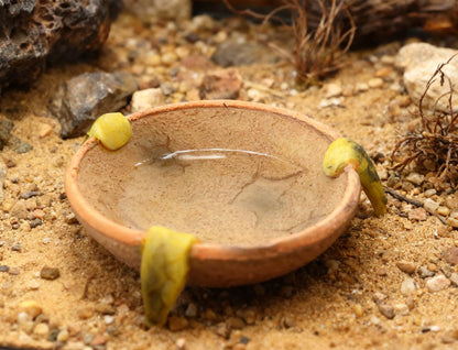 Food/Water Dish for Reptiles, Amphibians and Other Little Critters Water/Food Bowl, Made from Premium Resinl, Reptile Feeding Bowls for Bearded Dragon Lizard,Hermit Crab,Gecko,Tortoise,Frog