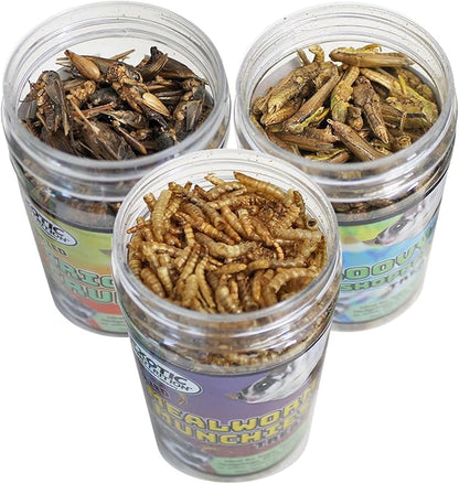 Exotic Nutrition Dried Insect 3 Pack - Crickets, Grasshoppers, Mealworms - for Sugar Gliders, Hedgehogs, Wild Birds, Chickens, Turtles, Tropical Fish, Reptiles