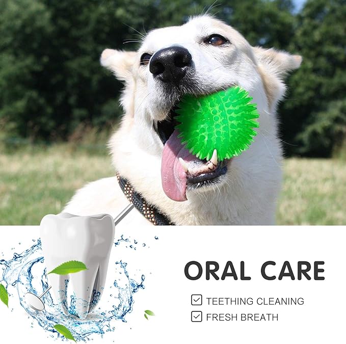 SHARLOVY Squeaky Balls for Dogs Small, Fetch Balls Rubber 3 Pack Bright Colors, TPR Puppy Dog Toys, Squeaky Spike Chew Toys for Small Puppy