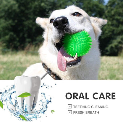 SHARLOVY Squeaky Balls for Dogs Small, Fetch Balls Rubber 3 Pack Bright Colors, TPR Puppy Dog Toys, Squeaky Spike Chew Toys for Small Puppy