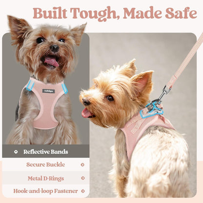 rabbitgoo Dog Harness Small Sized and Leash Set, Step in Soft Light Puppy Vest, Breathable Mesh Pet Harness, Reflective for Safe Outdoor Walking, Pink XS