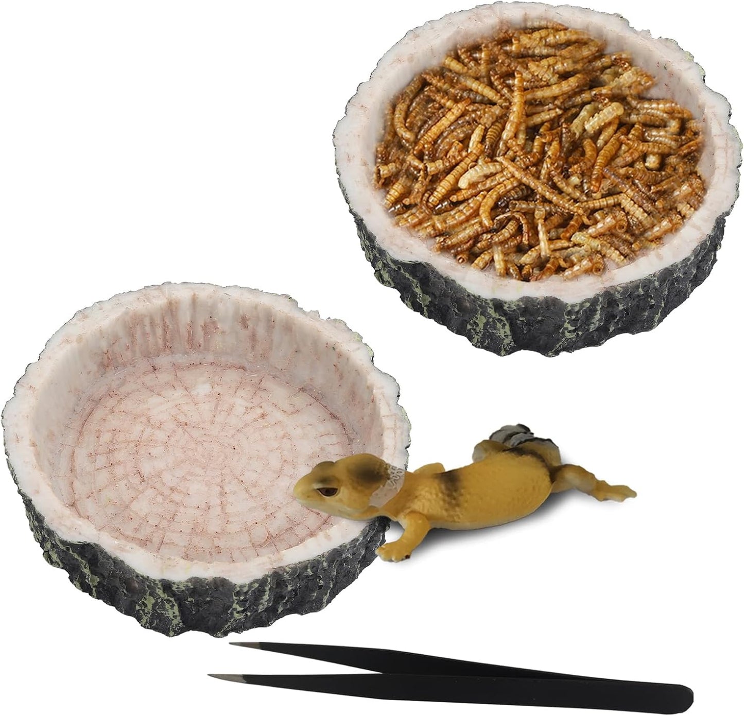 IBWell 2pcs Reptile Water Bowl with Feeding Tweezers - Reptile Food Dish for Lizard, Snake, Tortoise & Small Animals - Wooden Tree Stump