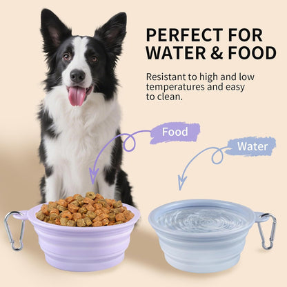 Collapsible Dog Bowls 2-Pack, Portable Travel Dog Bowl with Carabiner, Food-Grade Silicone Pet Bowl for Hiking, Walking (22 OZ Macaron Blue and Violet)