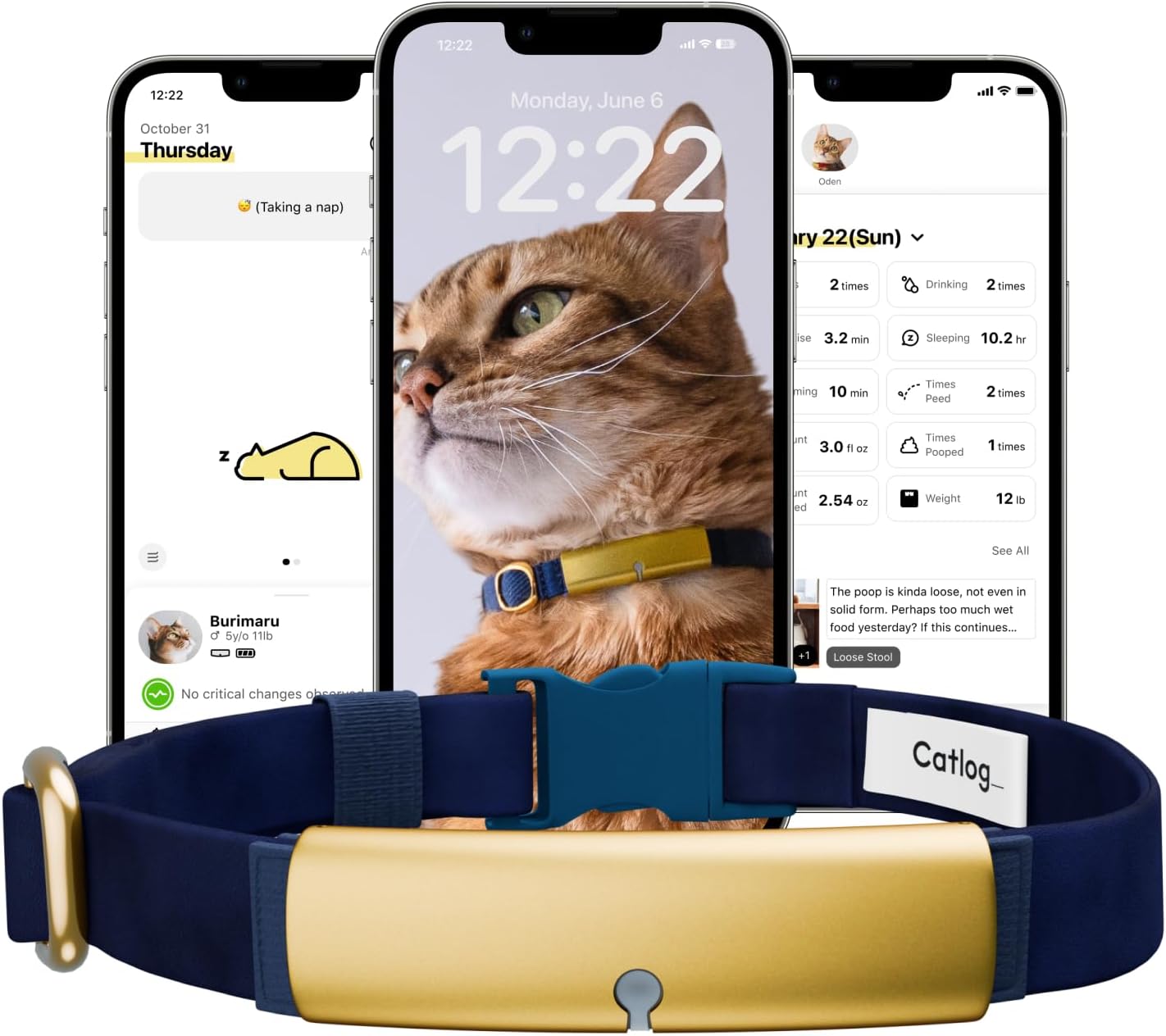 Health Tracker for Cats - Smart Cat Collar with Safety Breakaway Buckle for Indoor Cats, Wellness Alerts, Real-time Monitoring (Navy, XS)