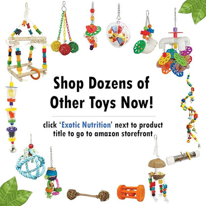 Exotic Nutrition Pumice Chew Dangle - Natural Healthy Hanging Cage Accessory Toy - for Squirrels, Degus, Chinchillas, Prairie Dogs, Birds, Rats, Hamsters, Guinea Pigs & Other Small Pets