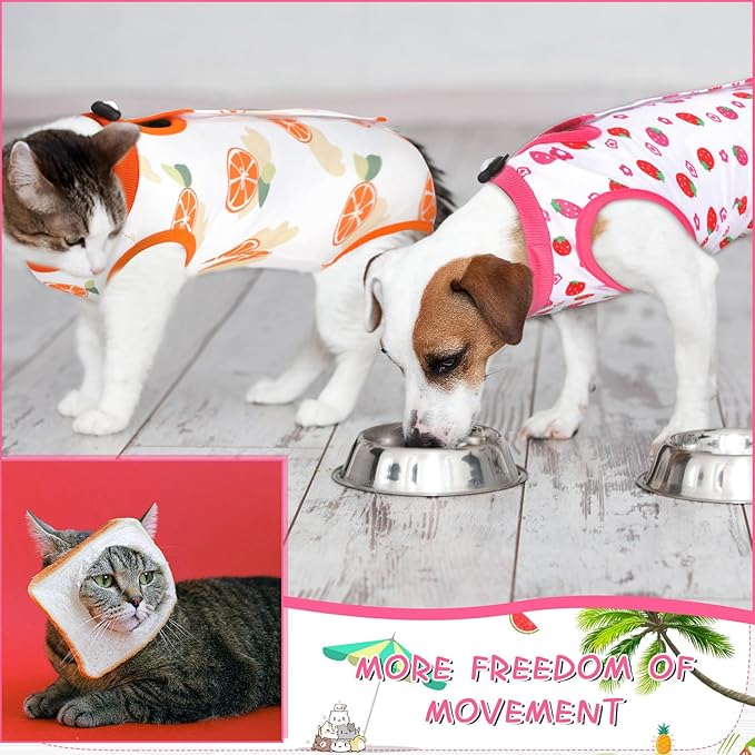 Nuanchu 3 Pieces Cat Recovery Suit Kitten Recovery Suit E-Collar Alternative for Cats and Dogs Abdominal Skin Anti Licking Pajama Clothes Sets(Small,Fruit Style,Colorful)