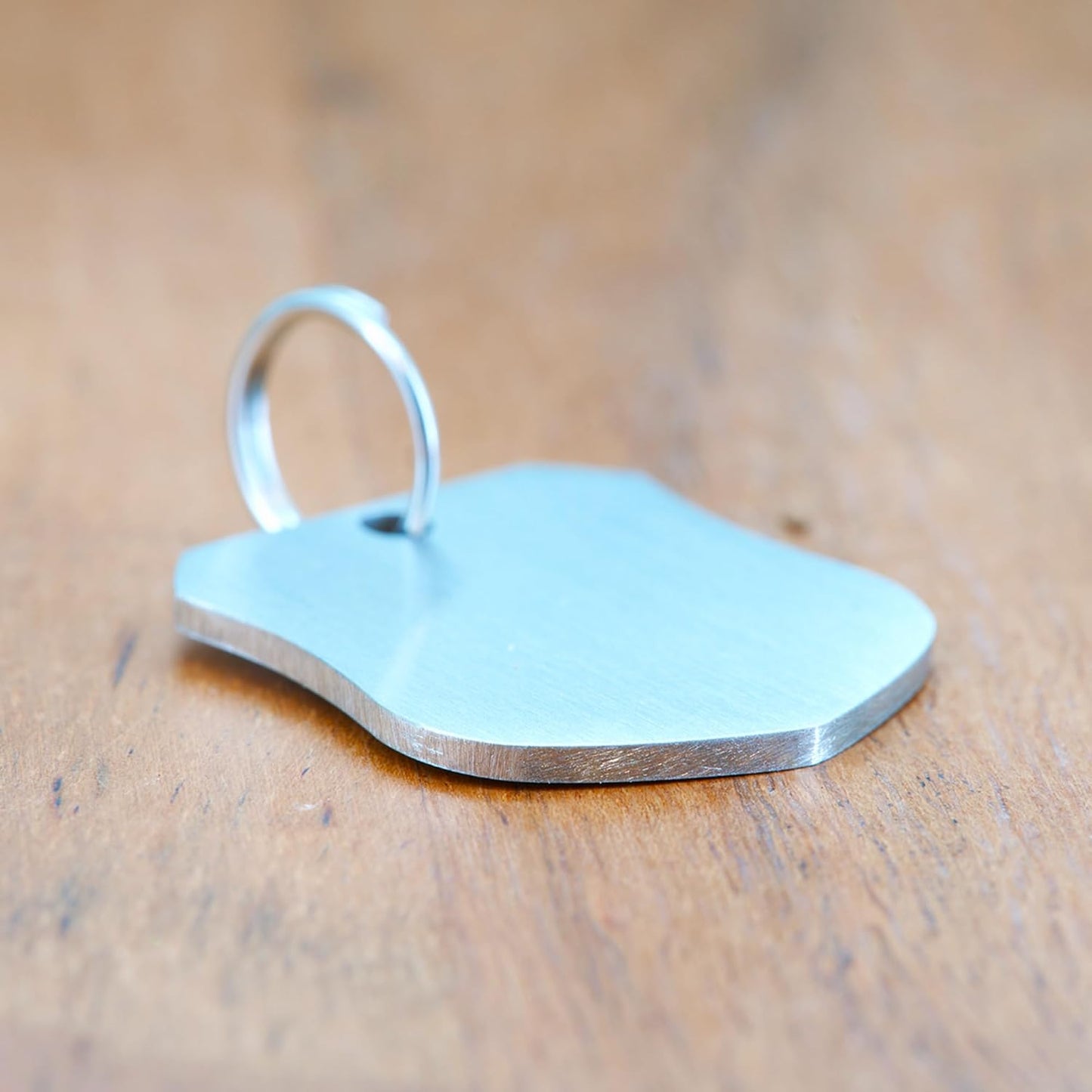 Ultra Joys Cat ID Tag Personalized Pet Tags, Durable Stainless Steel Small Pet Mini Dog Cat Tag Lightweight - Shield Tag in Silver