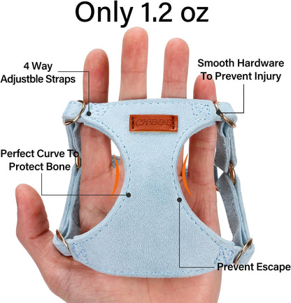 No Pull Dog Harness- Lightweight, Soft, Adjustable Small Harness Collar and Leash Set, Suitable for Cats Puppy Small and Medium-Sized Dog Outdoor Training and Running (Blue, XS)