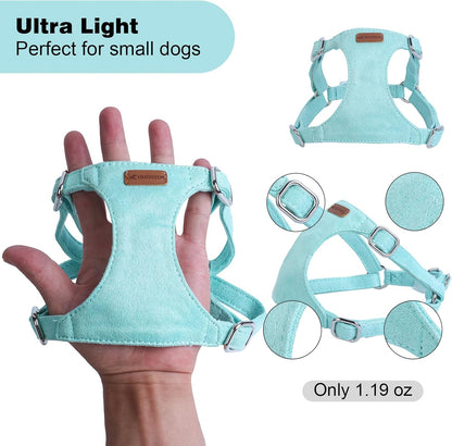 Dog Harness and Leash Set, XXS No Pull Adjustable Puppy Harness with Multifunction Pink Dog Leash and Dog Collar, Soft No Choke Escape Proof Pet Harness Vest for Small Dogs and Cats (Mint Green, XXS)