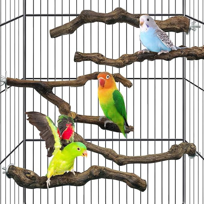 kathson 5pcs Natural Parrot Perch for Cage Wooden Bird Perches Grape Bird Stick Parakeet Climbing Standing Branches Toy Chewable Cage Accessories for Small Budgies Cockatiels Lovebirds Budgies