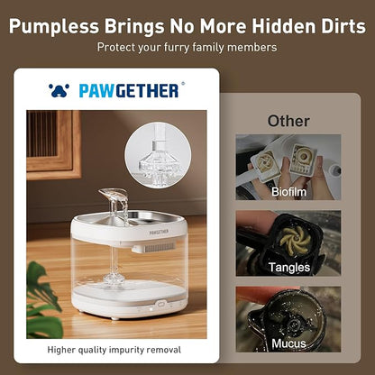 PAWGETHER® Cat Water Fountain, Ultra Quiet Pumpless Pet Water Fountain with Stainless Steel Tray, 67oz/2L Water Fountains for Cats Indoor with 360° Motion Sensor for Cats & Dogs (with Filter)