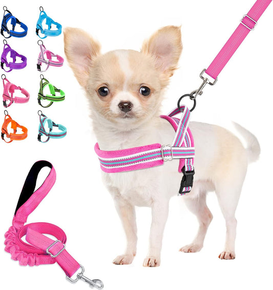 Lukovee No Pull Dog Harness and Leash Set, Soft Padded Small Dog Harness, Neck & Chest Adjustable Reflective Vest Puppy Harness with 4ft Lightweight Anti-Twist Dog Leash for Small Dogs (XXS, Fuschia)