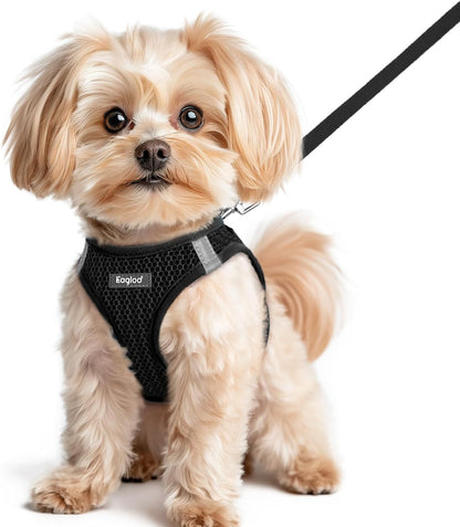 Eagloo Small Dog Harness and Leash Set, Step in Puppy Vest with Breathable Soft Mesh, Walking Reflective Pet Harness for Small Dogs, Black, XS