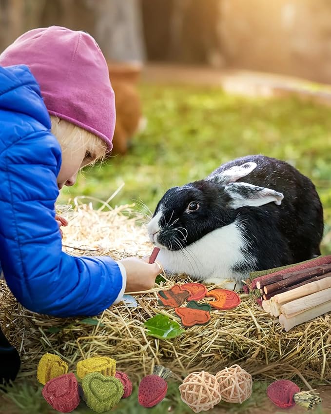 ERKOON 33PCS Bunny Chew Toys for Rabbits Teeth, Natural Rabbit Toys Apple Wood Sticks, Carrot, Timothy Grass Treats for Small Pets, Hamster, Chinchilla, Guinea Pig Dental Care and Treat Teething Toys