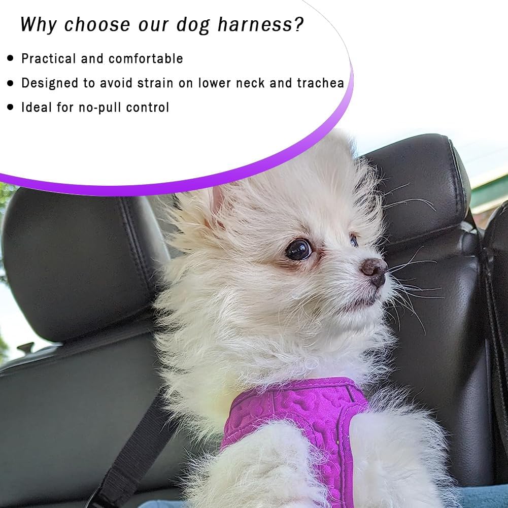 Comfort fit Step-in Dog & Puppy Harness - Comfortable All Weather Dog Vest Harness: Adjustable, Soft Padded, Easy to Put-on for Small, Medium-Sized Dogs.