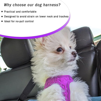 Comfort fit Step-in Dog & Puppy Harness - Comfortable All Weather Dog Vest Harness: Adjustable, Soft Padded, Easy to Put-on for Small, Medium-Sized Dogs.