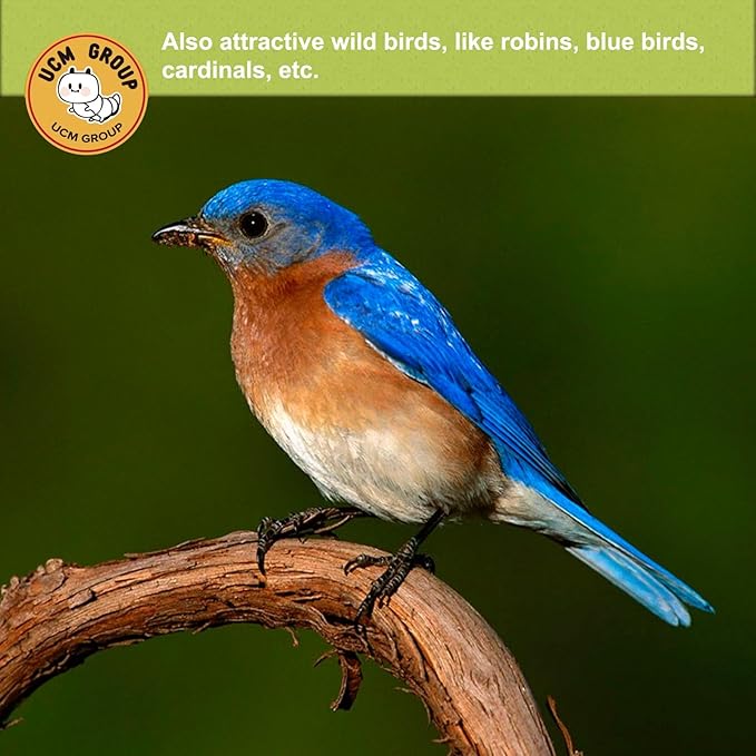 UCM Group 20LB Dried Black Soldier Fly Larvae for Chickens, Poultry, Wild Birds,100% Natural Non-GMO, No Additives, Treat, More Calcium Chickens Treats Than Mealworms, 4 Packs