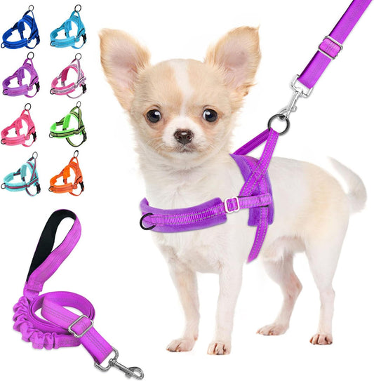 Lukovee No Pull Dog Harness and Leash Set, Soft Padded Small Dog Harness, Neck & Chest Adjustable Reflective Vest Puppy Harness with 4ft Lightweight Anti-Twist Dog Leash for Small Dogs (Purple, L)