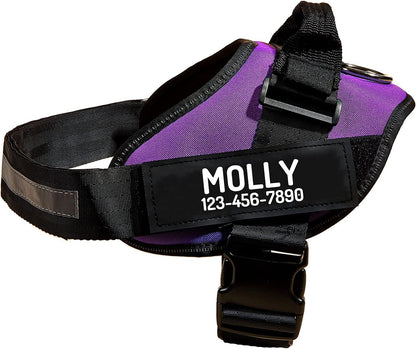 PawPawify Custom No Pull Dog Harness with Name and Phone Number, Heavy Duty Personalized Pet Vest to Prevent Tugging, Pulling, or Choking, Training and Walking (Purple, XS (Chest 14-17in))