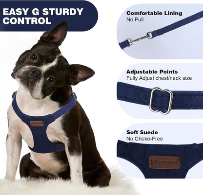 Denim Blue XXS No Pull Adjustable Puppy Harness Set with Multifunction Leash and Collar, Soft No Choke Escape Proof Pet Harness Vest for Small Dogs and Cats