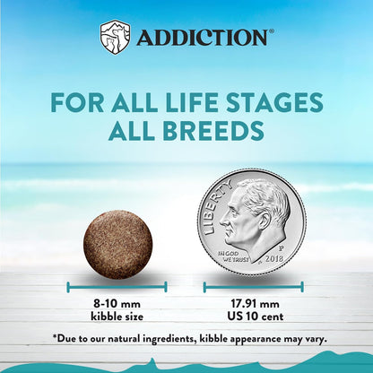 Addiction Salmon Bleu Grain-Free Dry Cat Food – Rich in Omega-3 for Healthy Skin & Coat – Complete & Balanced Salmon Recipe for All Life Stages – Made in New Zealand 4lb