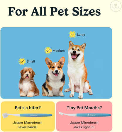 Jasper Dog Toothbrush, 360 Dog Tooth Brushing Kit, Finger Toothbrush, Cat Tooth Brush, Teeth Cleaning, Pet Tooth Brush for Small & Large Pets, Pet Toothpaste Not Included, 4-Pack Clear