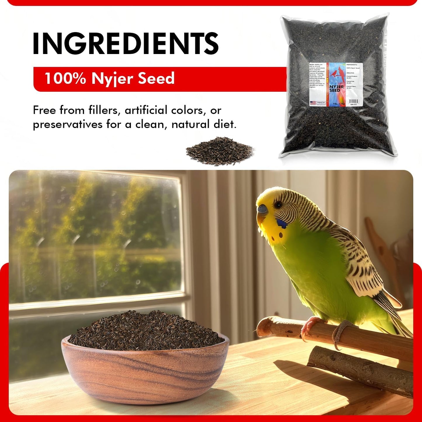 Morning Bird Nyjer Seed for Birds 9 lbs – Energizing Nutrition with Rich in Vitamins and Supplements – Ideal Bird Food for Breeding & Molting – Nyjer & Finch Seed for All Birds