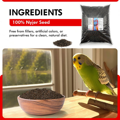 Morning Bird Nyjer Seed for Birds 9 lbs – Energizing Nutrition with Rich in Vitamins and Supplements – Ideal Bird Food for Breeding & Molting – Nyjer & Finch Seed for All Birds