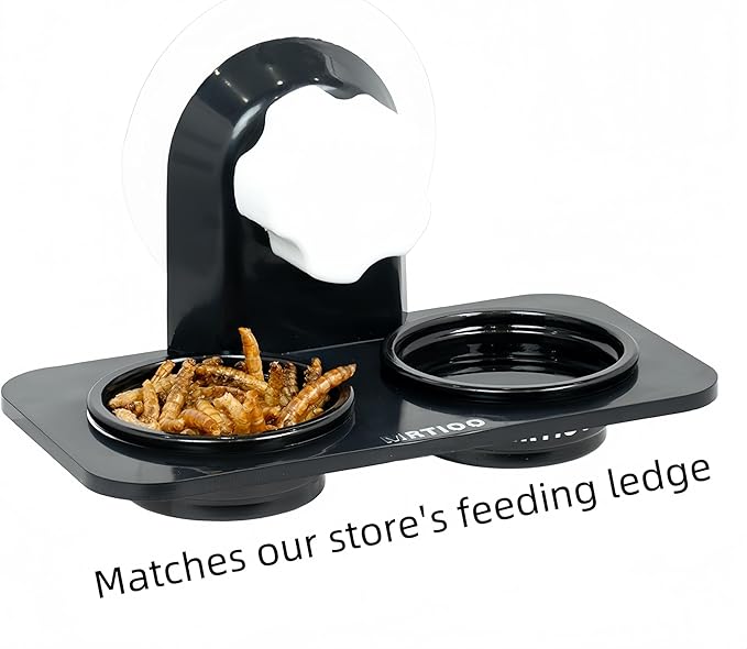 100 pcs 0.5oz Crested Gecko Food and Water Feeding Cups, Reptile Feeder Bowls, for Lizard and Other Small Pet Ledge Accessories Supplies - Black