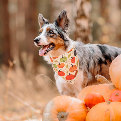 ADOGGYGO Fall Dog Bandana, Pumpkin Maple Leaf Autumn Thanksgiving Pet Scarf, Adjustable Fit Fall Bandanas for X-Large Dogs Pets (X-Large)