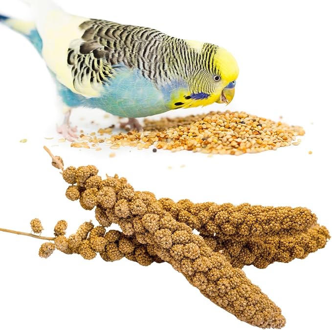Bird Seed Parakeet Food - 200 Gram Vacuum Sealed Millet Treat for Birds Parakeets Natural Sun-Dried Birds Millet for Cockatiel Budgie Finches Parrots
