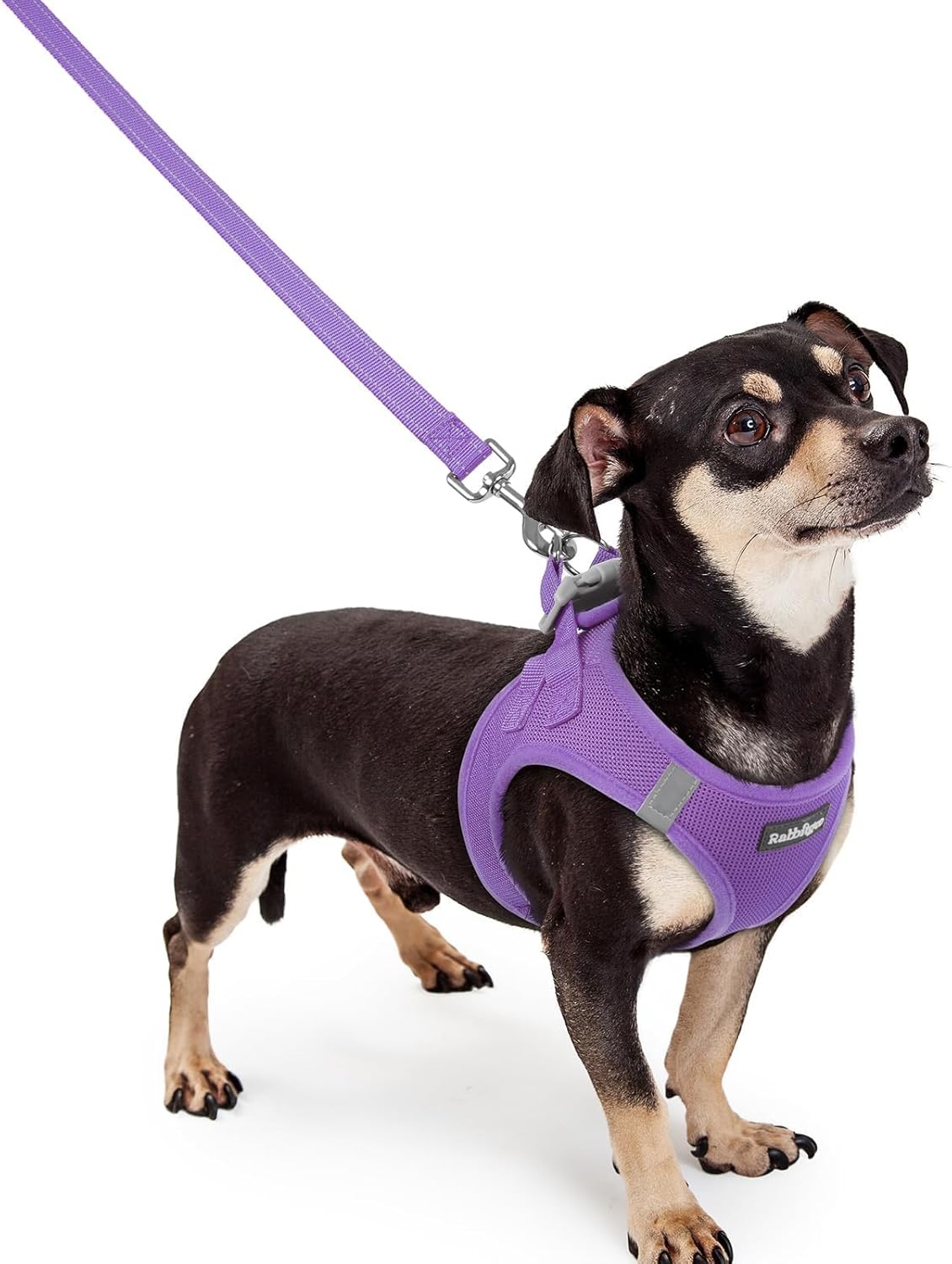rabbitgoo Dog Harness Small Sized and Leash Set, Step in Soft Light Puppy Vest, Breathable Mesh Pet Harness, Reflective for Outdoor Safe Walking, Purple XXXS
