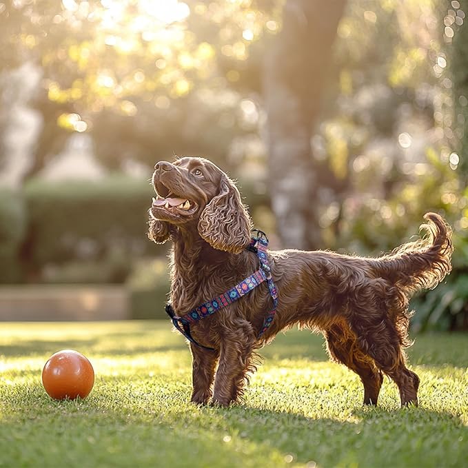 QQPETS Dog Harness Leash Set Adjustable Heavy Duty No Pull Halter Harnesses for Small Medium Large Breed Dogs Back Clip Anti-Twist Perfect for Walking