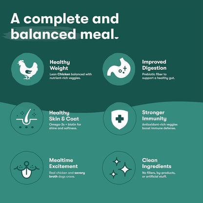 Jinx Premium Wet Dog Food Cans, Variety Pack - Salmon & Chicken Pate - Grain-Free Canned Dog Food Pate & Topper with Real Ingredients & No Fillers - All Life Stages, Breeds & Sizes - 12-Pack, 13 Oz