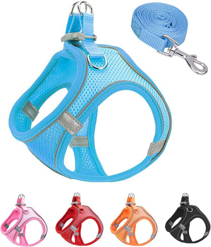 L Blue Soft Mesh Dog Harness and Leash Set,No Escape Puppy Harnesses for Training Walking， Reflective Adjustable Puppy Vest for Small Medium Dogs, Cats (Blue, L)