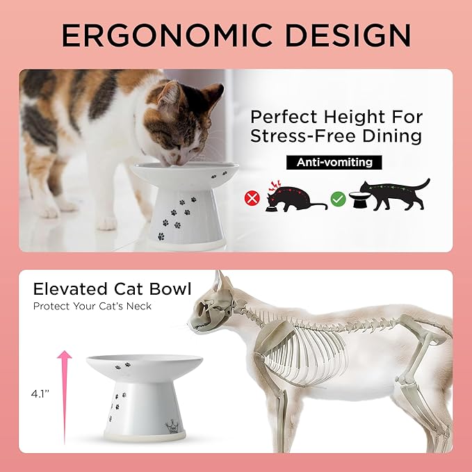 Necoichi Raised Cat Food Bowl – Ceramic Elevated Cat Bowl for Whisker & Neck Fatigue, Dishwasher Microwave Safe – Non-Slip & Anti Vomiting Ergonomic Design (Cats, Extra Wide)