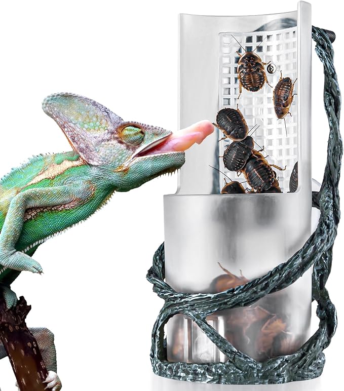 OIIBO Chameleon Feeding Bowl, Resin Vine Reptile Feeder with Grid Plate for Insect to Climb and Move, Reptile Hunting Bowl with Suction Cup for Chameleon, Lizard, Bearded Dragons, Iguana, Gecko, Frog