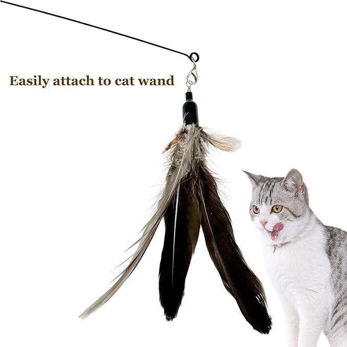 Cat Feather Toys Refills, 10 Pieces Natural Da Bird Feathers Refills, Cat Wand Replacement Feathers for Cat Toy