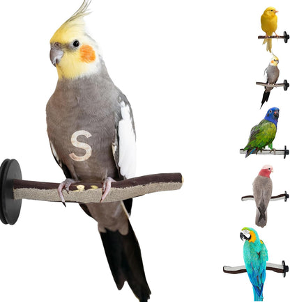 Sweet Feet and Beak Superoost Manzanita Pumice Pedicure Perch- Easy to Install Bird Cage Accessories for Healthy Feet, Nails and Beak - Natural Bird Perches Imitates Birds' Life in The Wild - S 8"