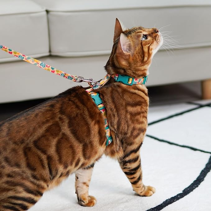 azuza Cat Harness and Leash Set for Safe Walking and Travel, Escape Proof Cat Harness, Lightweight Soft and Comfortable, Adjustable Kitten Harness for Small Medium Large Cats, Yellow Cactus