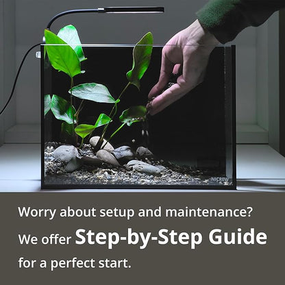 NICREW 2.5 Gallon Nano Nature Aquarium Kit, Ultra-Clear Rimless Desktop Fish Tank with Light and Filter, Perfect for Small Fish, Shrimp, or Betta, Basic Version, Black