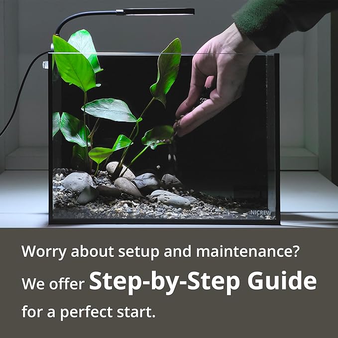 NICREW 2.5 Gallon Nano Nature Aquarium Kit, Ultra-Clear Rimless Desktop Fish Tank with Light, Filter, Gravel and Rock, Perfect for Small Fish, Shrimp, or Betta, Complete Version, Black