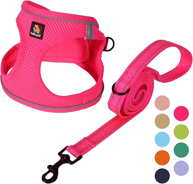 BELLA & PAL Step in Vest Harness for Small and Medium Dogs, No Pull Small Dog Harness with Leash Set, Comfortable Air Mesh Dog Vest Harness with Reflective Strip (Hot Pink, L)