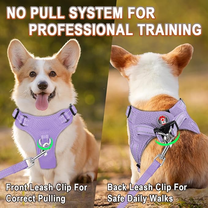 BARKBAY Dog Harness, Reflective Adjustable Puppy No Pull Harness, Breathable Soft for Small and Medium Dogs, Violet Purple, XXS